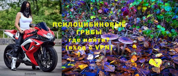 спиды Козельск
