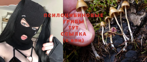 таблы Кодинск