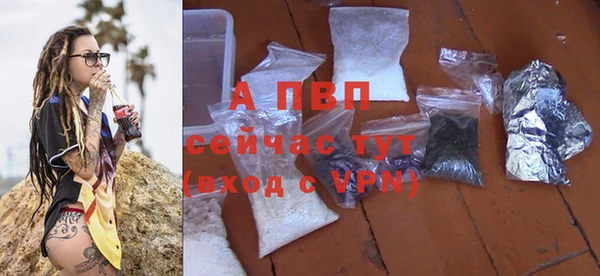 спиды Козельск